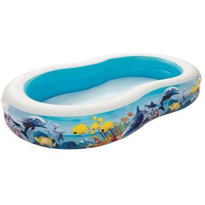 Bestway 54118 Inflatable Paddling Swimming Pool For Children 262x157x46cm