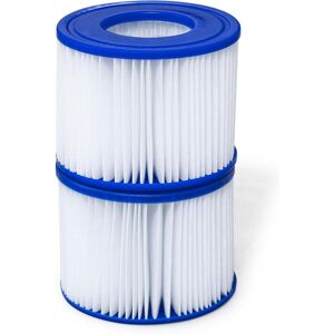 SJQKA Bestway SaluSpa Filter (vi) Compatible with all SaluSpa Inflatable Hot Tubs, 2-Pack (1-Pack)
