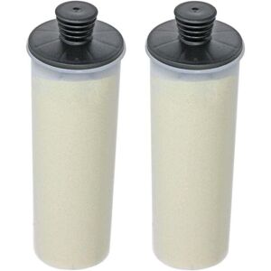 ZVD - Pack of 2) Descaling Filter Cartridge Compatible with Karcher SC3 SC3MX Easyfix Steam Cleaner