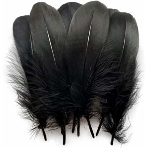 Denuotop - Pack of 100 natural goose feathers for clothing