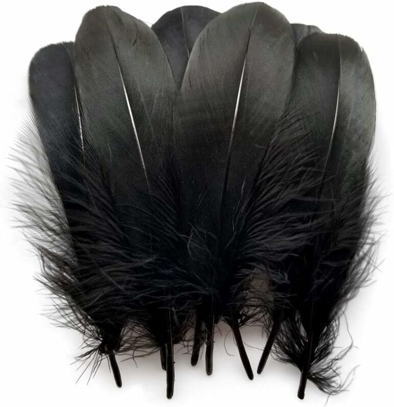 Denuotop - Pack of 100 natural goose feathers for clothing