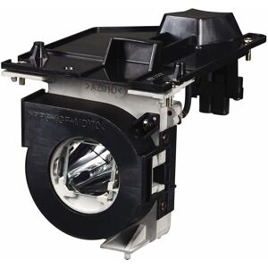 NEC - Original NPP502H NPP502W Projector Lamp