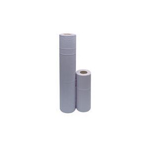 2Ply Hygne Roll Blu 10In Pk24 - 2work