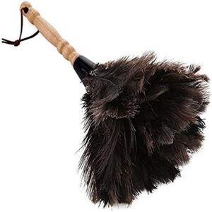 BASETBL Duster, Dusters for Home and Office, Ostrich Feathers, Ostrich Feather Dusters, Natural Ostrich Feathers BASETBL Duster, Dusters for Home and Office, Ostrich Feathers, Ostrich Feather Dusters, Natural Ostrich Feathers
