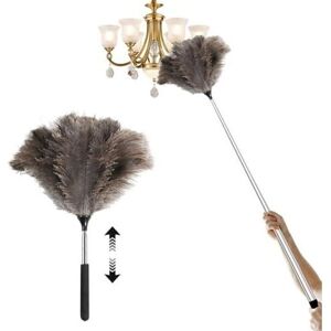 TEHTUY Extendable ostrich feather duster - Easily cleans high ceilings and cupboards (115 cm) TEHTUY Extendable ostrich feather duster - Easily cleans high ceilings and cupboards (115 cm)