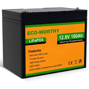 Eco-worthy - 100Ah 12V LiFePO4 Battery Emergency Power Backup Rechargeable Lithium Iron Phosphate with 3000+ Deep Cycles and bms Protection, Perfect