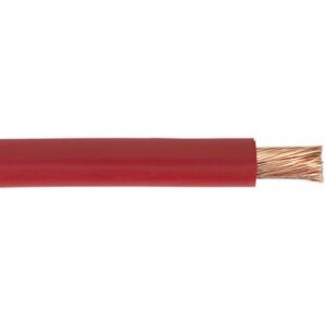 Loops - 10m Automotive Starter Cable - 170 Amp - Single Core - Copper Conductor - Red