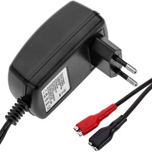 Smart charger at 220-240 vac for 12V lead acid batteries with constant current with faston connectors and charge indicator led - Bematik