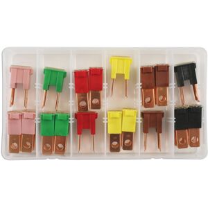 Connect - Assorted Male pal Fuses 18pc 30726