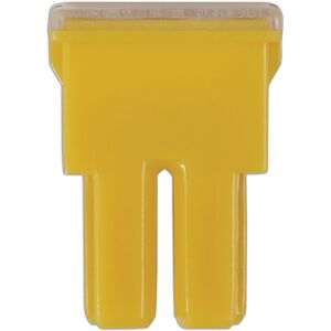 Connect - Female pal Fuses 60A 10pc 30479