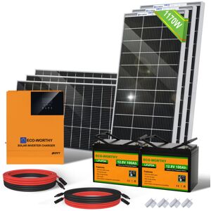 Eco-worthy - 1000W Solar Panel Kit with Bifacial Solar Panels, 3000W 24V Hybrid All-in one Inverter and 100Ah 12V Lithium Rechargeable Battery for