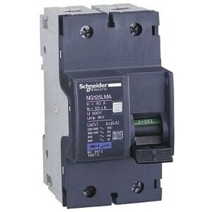Schneider - 18875 Motor circuit breaker NG125LMA 63A 2P 2D Schneider - 18875 Motor circuit breaker NG125LMA 63A 2P 2D
