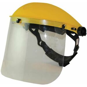 LOOPS Face Protection Shield & Visor Clear Hedge Cutting / Chainsaw Safety Hat Mask