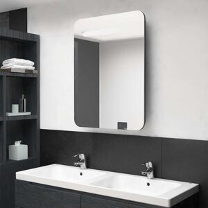 Led Bathroom Mirror Cabinet Shining Grey 60x11x80 cm Vidaxl Led Bathroom Mirror Cabinet Shining Grey 60x11x80 cm Vidaxl