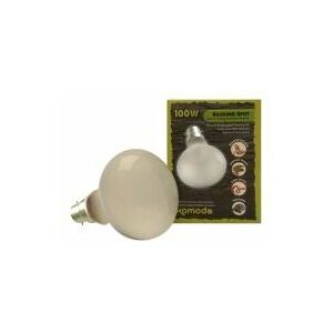 Komodo - Basking SpotBulb BC100w - 54810