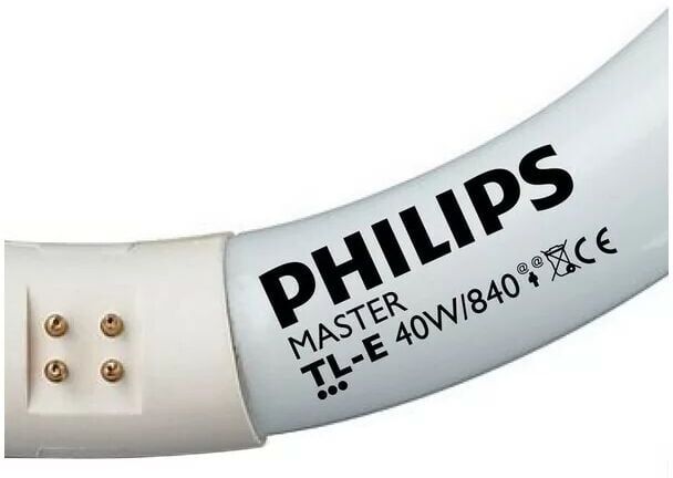 28474715 Bulb G10q 40W 840 3200lm master tl-e Circular Super 80 Cold White - Philips