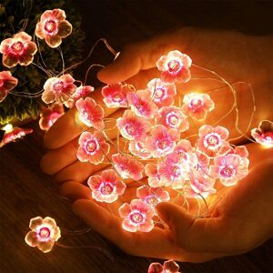 AOUGO 30 led Pink Cherry Blossom Fairy Lights, Battery Operated, Christmas, Girls Room, Bedroom, Indoor, Outdoor, Wedding, Valentine's Day