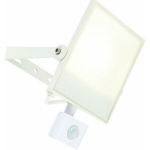 Loops - ultra slim Outdoor 30W Cool led Floodlight & pir Sensor white IP44 Weatherproof