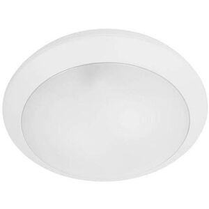 Ford 2 Light Outdoor Surface Mounted Lighting - Outdoor Surface Mounted Lighting Ford 2 Light Outdoor Surface Mounted Lighting - Outdoor Surface Mounted Lighting