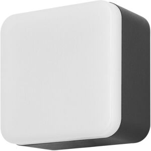 Forlight Lighting Tilt LED Wall Lamp - Outdoor Grey, Opal, Neutral White - Wall Lamp Forlight Lighting Tilt LED Wall Lamp - Outdoor Grey, Opal, Neutral White - Wall Lamp