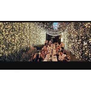 TRIMEC Guirlande Lumineuse Rideau 300 led Rideau Lumineux 3M3M 8 Modes d'Eclairage Etanche IP44 Exterieur et Interieur, Decoration pour Noël, Mariage, TRIMEC Guirlande Lumineuse Rideau 300 led Rideau Lumineux 3M3M 8 Modes d'Eclairage Etanche IP44 Exterieur et Interieur, Decoration pour Noël, Mariage,