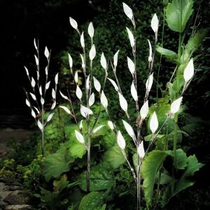TRIMEC Lot de 3 branches d'arbre lumineuses à énergie solaire avec lumières led en forme de feuilles, jolie veilleuse décorative pour jardin, terrasse free TRIMEC Lot de 3 branches d'arbre lumineuses à énergie solaire avec lumières led en forme de feuilles, jolie veilleuse décorative pour jardin, terrasse free