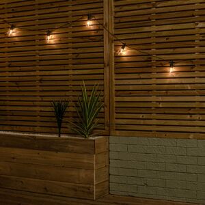 Samuel Alexander - Set of 10 Indoor Outdoor Connectable Festoon Lights with Warm White LEDs Samuel Alexander - Set of 10 Indoor Outdoor Connectable Festoon Lights with Warm White LEDs