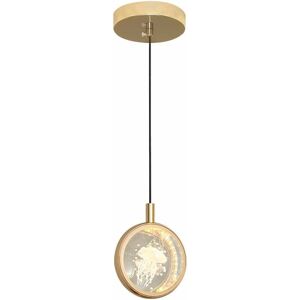 DENUOTOP Minimalist Round Pendant Lamp,Tricolor Light Source Lighting Chandelier,Modern Single Head Golden Hanging Lamp,Home Decor,Suitable for Children's