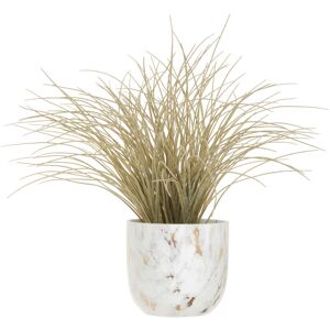 Fiori Grass Plant - Premier Housewares