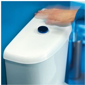 Pepte - Touchfree Automatic Cistern Toilet Button Flush Valve