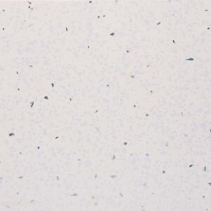 STARLINE White Sparkle Bathroom Shower Wall Panels Cladding pvc Waterproof 2400x1000mm - White