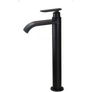 SHUNLI 304 stainless steel single cold basin faucet bathroom sink faucet black