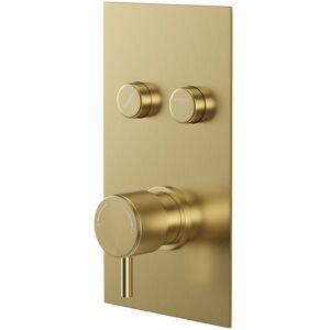 Colore - Round Brushed Brass Concealed Push Button Shower Valve with Fully Knurled Control Handle - 2 Outlet