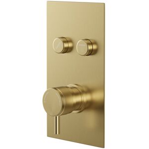 Round Brushed Brass Concealed Push Button Shower Valve with Half Knurled Control Handle - 2 Outlet - Colore