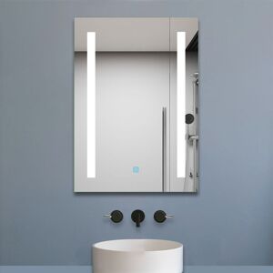 Biubiubath - 500x700 mm Vertical Illuminated led Bathroom Mirror Touch Sensor + Demister