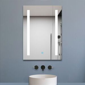 Biubiubath - 600x800 mm Vertical Illuminated led Bathroom Mirror Touch Sensor + Demister