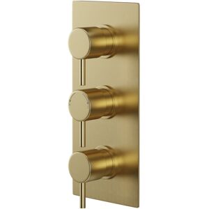 Colore - Round Brushed Brass Concealed Triple Theromstatic Shower Valve - 2 Outlet