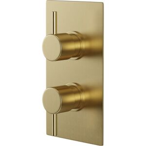 Colore - Round Brushed Brass Concealed Twin Thermostatic Shower Valve - 1 Outlet