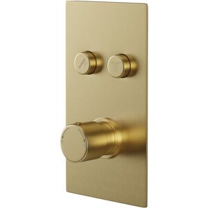 Colore - Round Brushed Brass Concealed Push Button Shower Valve - 2 Outlet