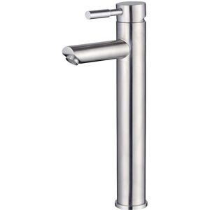 Linghhang - Single Cold Basin Faucet, Single Hole Stainless Steel Bathroom Sink Faucet, Brushed Nickel