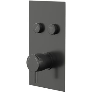 Round Gunmetal Grey Concealed Push Button Shower Valve with Half Knurled Control Handle - 2 Outlet - Colore Round Gunmetal Grey Concealed Push Button Shower Valve with Half Knurled Control Handle - 2 Outlet - Colore