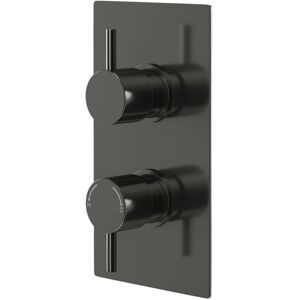 Colore - Round Gunmetal Grey Concealed Twin Thermostatic Shower Valve - 1 Outlet Colore - Round Gunmetal Grey Concealed Twin Thermostatic Shower Valve - 1 Outlet