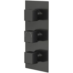 Colore - Square Gunmetal Grey Concealed Triple Thermostatic Shower Valve - 2 Outlets Colore - Square Gunmetal Grey Concealed Triple Thermostatic Shower Valve - 2 Outlets