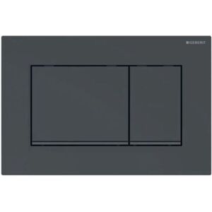 Sigma30 Dual Flush Plate - Black - Geberit Sigma30 Dual Flush Plate - Black - Geberit
