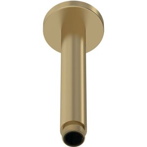 Nuie - Arvan Round Ceiling Mounted Shower Arm 160mm Length - Brushed Brass Nuie - Arvan Round Ceiling Mounted Shower Arm 160mm Length - Brushed Brass