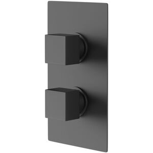 Colore - Square Matt Black Concealed Square Twin Thermostatic Shower Valve - 1 Outlet Colore - Square Matt Black Concealed Square Twin Thermostatic Shower Valve - 1 Outlet