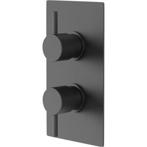 Colore - Round Matt Black Concealed Twin Thermostatic Shower Valve - 1 Outlet Colore - Round Matt Black Concealed Twin Thermostatic Shower Valve - 1 Outlet