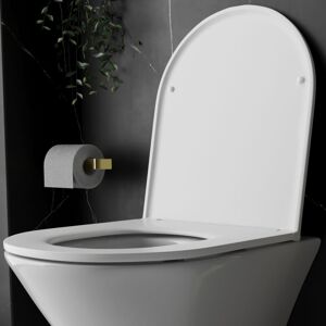 Rak Ceramics - Genuine rak Resort d Shape Toilet Seat Soft Close Quick Release - Gloss White Slimline Sandwich Rak Ceramics - Genuine rak Resort d Shape Toilet Seat Soft Close Quick Release - Gloss White Slimline Sandwich