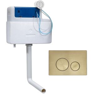 Roper Rhodes Cascade Cistern and Rondo Brushed Brass Dual Flush Plate Roper Rhodes Cascade Cistern and Rondo Brushed Brass Dual Flush Plate