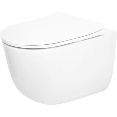 REI White Rimless Wall-Mounted Toilet - Toilet Bowl REI White Rimless Wall-Mounted Toilet - Toilet Bowl